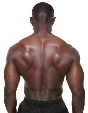 Rear view of back of muscular black male