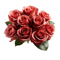 Beautiful bouquet of red roses on transparent background. PNG.