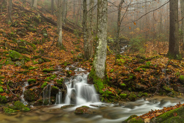 Small creek from hillside near Ponikly waterfall after rain in autumn morning