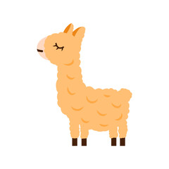 Cartoon lama animal isolated on white. Cute character, vector zoo, wildlife poster.
