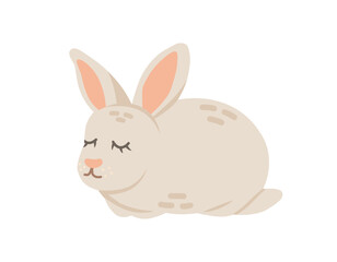 Cartoon rabbit animal isolated on white. Cute character, vector zoo, wildlife poster.