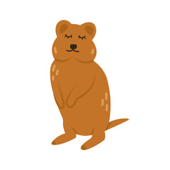 Cartoon quokka animal isolated on white. Cute character, vector zoo, wildlife poster.