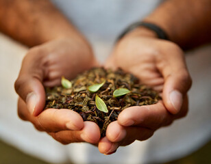 Cupped hands holding loose leaf tea