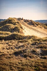 Wassenaar, Netherlands - November 06 2020 : a sand dune has been created in the national park near...