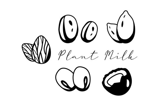 Doodle ouline plant milk banner. Different lactose free milk vector illustration. Alternative milk variations icon isolated on white background.