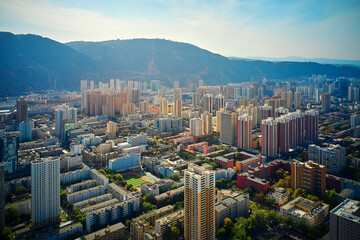 panoramic view from the height of the megalopolis with skyscrapers