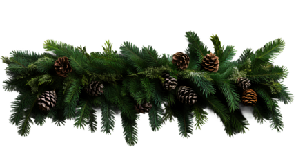 christmas tree branches with cones  on Transparent Background