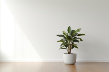 A potted plant placed on a wooden floor. Perfect for adding a touch of nature to any indoor space