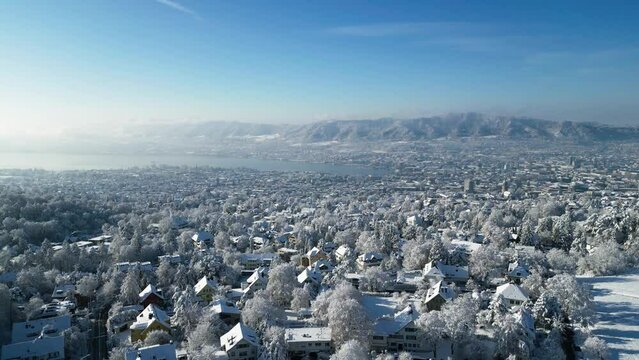 Zurich December Panorama with Snow	