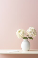 Fototapeta premium A minimalist white desk with a vase of fresh white hydrangeas