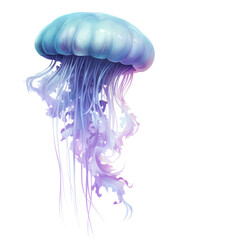 Fototapeta premium a purple and blue jellyfish