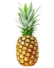 Pineapple isolated on white background, full depth of field