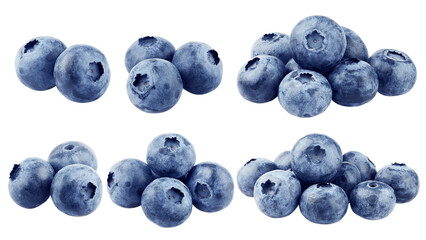 Blueberry isolated on white background, full depth of field