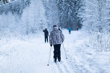 People ski in winter on a ski track through a winter forest.Cross Country skiing.
