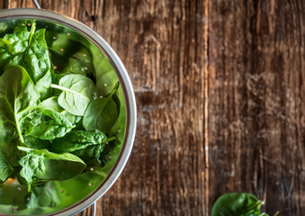 fresh raw spinach