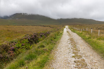 Typical Irirsh farm with road, field and mountains