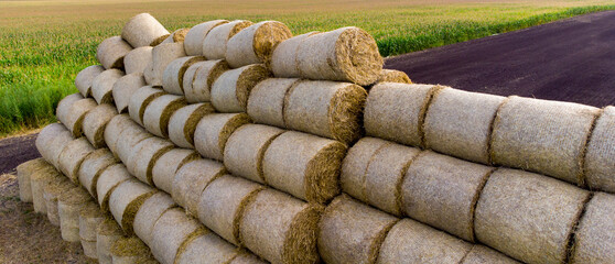 Many bales and rolls of straw after the harvest collected together on field on sunny autumn summer...