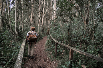 Lonely man in a desolate forest, love of nature