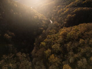 Fototapeta na wymiar Winter forest - drone view