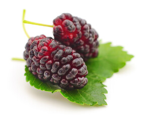 Mulberries fruit and leaves.