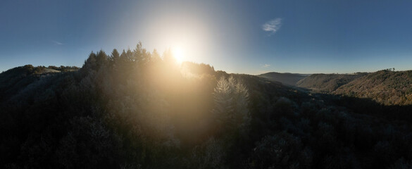 Winter forest - drone view