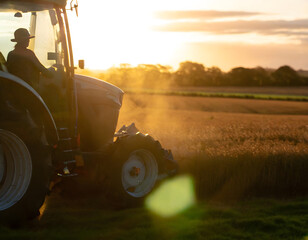 Farmer driving tractor in golden sun light