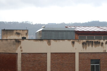 Facade of a building in the city