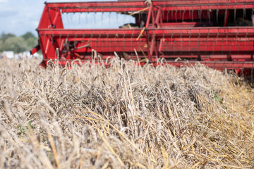 Close up of an antique combine harvester harvesting wheat
