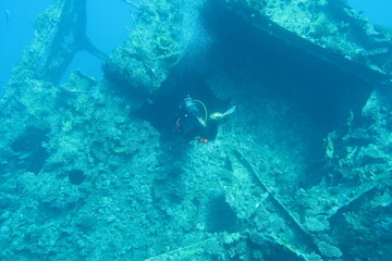 Fototapeta na wymiar Scuba diver with the wreck of the Giannis D in the Red Sea in Egypt