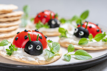 Cracker with cream cheese and tomato for summer party