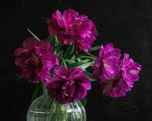 bouquet of dark red lilac tulips in glass vase on dark background. flower bouquet in vase on table. Gift interior decoration. florist, decorator. Flower shop.