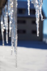 winter background with hanging icicles