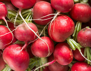 Full frame shot of radishes