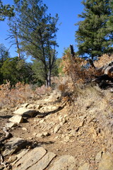Grindstone Lake Loop Trail