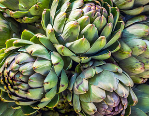 Fototapeta premium Full frame shot of artichokes