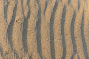 waves on the sand close-up.
