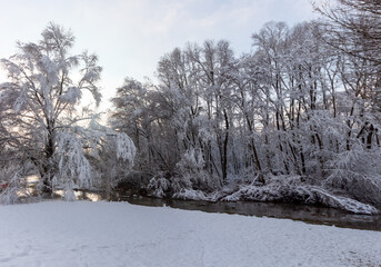 Snow-covered trees on the shore of fast flowing river in winter