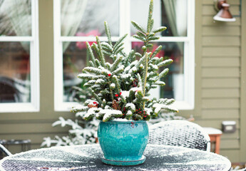 Christmas bouquet of branches and cones