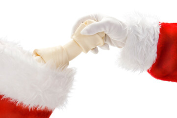 Santa Claus placing a rawhide dog bone into a Christmas Stocking isolated - obrazy, fototapety, plakaty