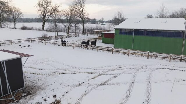 Aerial view of a snowy farm with horses in northern germany