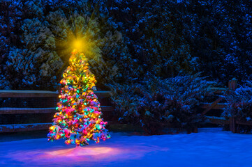 A tranquil multi-Colored Christmas tree at night while snowing © CMANNPHOTO