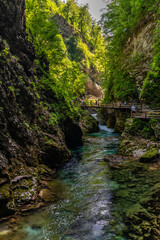 Beautiful view of the turquoise transparent stream water in Vintgar Gorge near Lake Bled in summer, Upper Carniola, Slovenia - 687719428