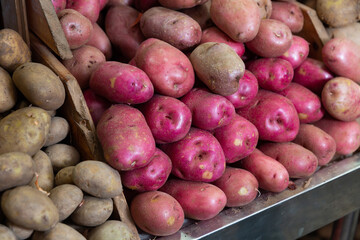 Premium red potato fresh foods Vegetable agriculture organic healthy