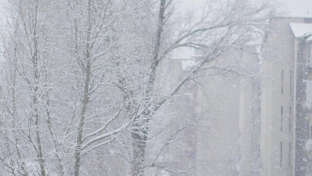 Snow-covered city in winter. Snowfall in the city among the houses. Winter background. Snowfall turns the world around us into a large abstract picture, where shapes and textures interact in a