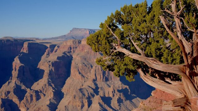 The breathtaking view over the Grand Canyon in Arizona - travel photography