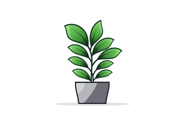 ZZ plant icon on white background 