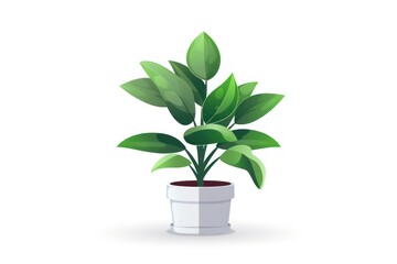 ZZ plant icon on white background