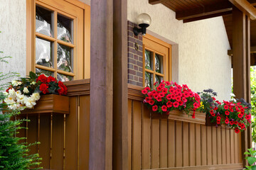 View of balcony with beautiful flowers on sunny day