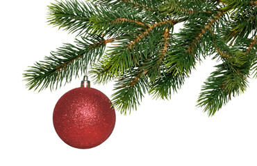 Obraz na płótnie Canvas Christmas tree branch and single red glass ball isolated on white, transparent background, PNG. New year decor, traditional holiday decoration