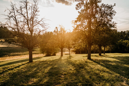 Abendliche Herbststimmung in einer sch&ouml;nen Landschaft